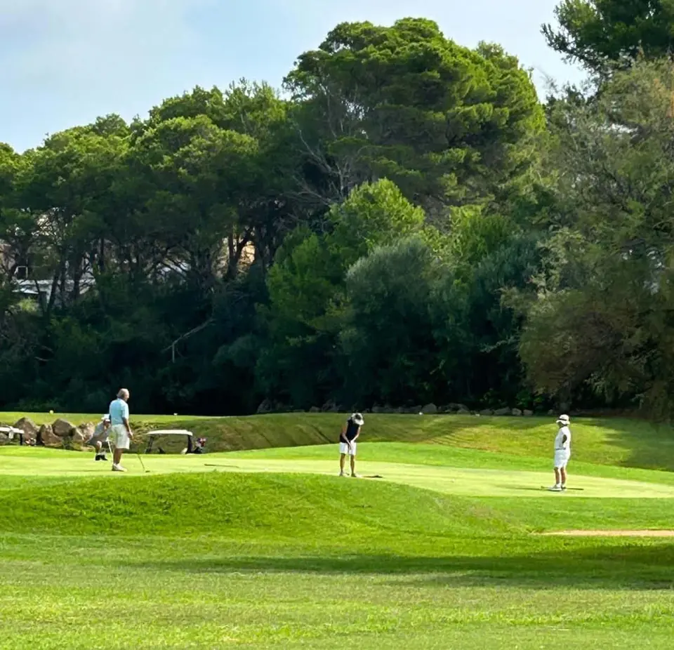 Golfplatz Son Parc zwischen Pinien
